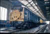 31223 Immingham 260294.jpg (535876 bytes)