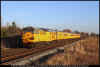31233_31459_attenborough_101209_1Q16_0936_RTC-Netherfield-Burton_1400px.jpg (685861 bytes)