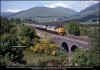 37423 Strathfillan Auchreanch viaduct 110688 1250 Oban-Glasgow QSt DChambers PRC.jpg (894214 bytes)