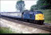 40020-chester-1981-1024px.jpg (346455 bytes)