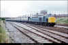 40121-Chester-1978-PRC.jpg (327700 bytes)