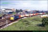 40135-Chester-23-06-1980.jpg (432657 bytes)