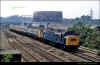 40162-chester-1980-1024px.jpg (327834 bytes)