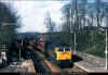 47209-Huntly-010586-MTaylor-PRC_filtered.jpg (879865 bytes)