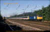 47473-Preston-300893-PRC.jpg (487316 bytes)