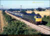 47484-Chilson-240886-PRC.jpg (613655 bytes)