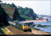 47500-Dawlish-Horse-Cove-200788-PRC.jpg (411104 bytes)