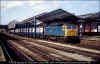 47538-Chester-1981-PRC.jpg (423007 bytes)