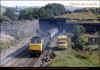 47556-diggle-100883-1100-Scarborough-Liverpool-PRC-M-Taylor.jpg (540934 bytes)