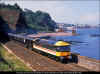 47620-Dawlish-Horse-Cove-200788.jpg (451314 bytes)