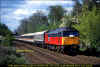 47789-Attenborough-040596-1Z31-0550-Cardiff-Spalding.jpg (766919 bytes)