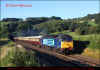47818-Chevin-100812-1Z64-0539-Bham-Intl-Edinburgh-47790-on-rear.jpg (433529 bytes)