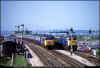 50004 Dawlish Warren 300585 1340 Paddington-Penzance PRC.jpg (640902 bytes)