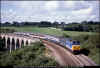 50028 Gover viaduct 260987 1102 Penzance-Paddington DChambers PRC.jpg (1086604 bytes)