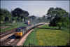 50037 Aller Jn 290585 1354 Penzance-Bristol TM DChambers PRC.jpg (1239039 bytes)