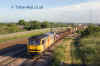 60066toton.jpg (1025878 bytes)