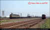 D1519-Werrington-June-1963-B892.jpg (365646 bytes)