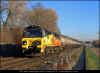 IMG_1480__70813_Attenborough_081222_6M57_0712_Lindsey-Kingsbury.jpg (802983 bytes)
